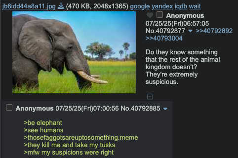 jb6idd44a8a11.jpg (470 KB, 2048x1365) google yandex iqdb wait Anonymous 07/25/25(Fri)06:57:05 No.40792877 ▼ >>40792892 >>40793004 Do they know something that the rest of the animal kingdom doesn't? They're extremely suspicious. Anonymous 07/25/25(Fri)07:00:56 No.40792885 >be elephant >see humans >thosefaggotsareuptosomething.meme >they kill me and take my tusks >mfw my suspicions were right