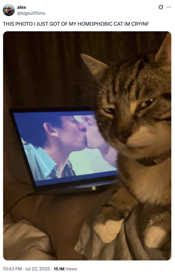 The original "tweet":https://knowyourmeme.com/memes/sites/twitter-x with the Homophic Cat image, showing a "cat":https://knowyourmeme.com/memes/subcultures/cats looking displeased and giving a "side-eye":https://knowyourmeme.com/memes/side-eye expression over the "gay":https://knowyourmeme.com/memes/cultures/lgbtq kissing scene in the 2024 film "_Challengers_":https://knowyourmeme.com/memes/subcultures/challengers-2024-film. The cat's nickname was based on the "Homophobic Dog":https://knowyourmeme.com/memes/homophobic-dog-not-too-fond-of-gay-people meme.