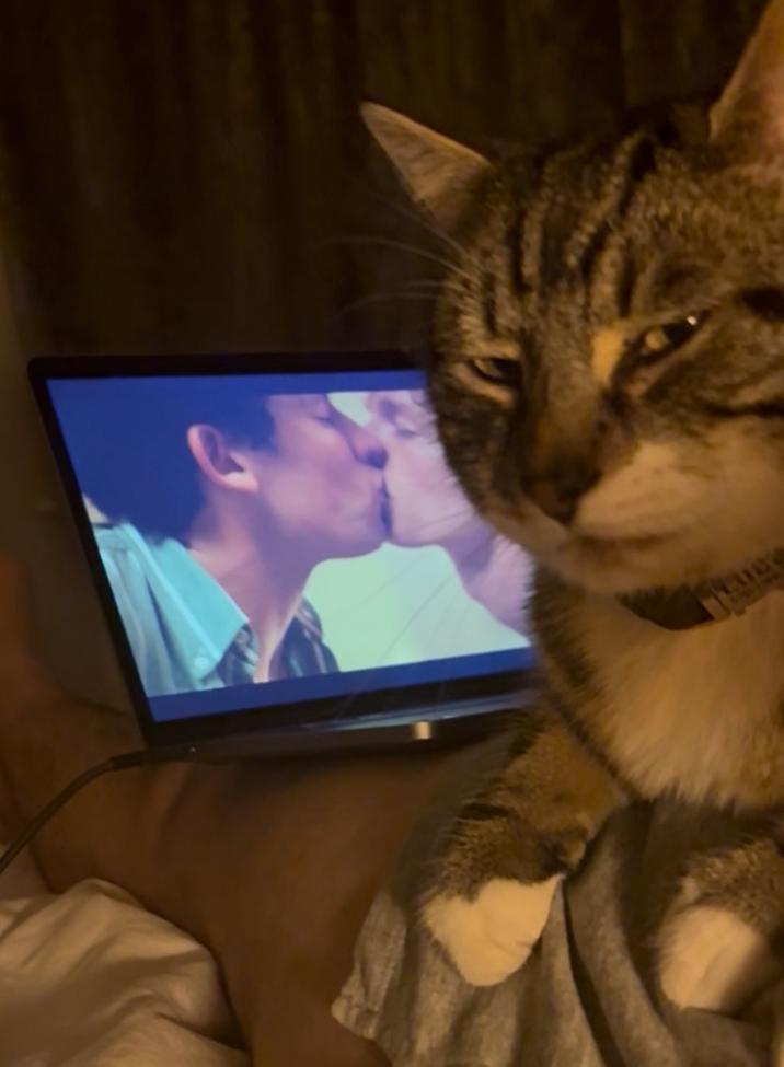 The original photo of the Homophic Cat image, showing a "cat":https://knowyourmeme.com/memes/subcultures/cats looking displeased and giving a "side-eye":https://knowyourmeme.com/memes/side-eye expression over the "gay":https://knowyourmeme.com/memes/cultures/lgbtq kissing scene in the 2024 film "_Challengers_":https://knowyourmeme.com/memes/subcultures/challengers-2024-film. The cat's nickname was based on the "Homophobic Dog":https://knowyourmeme.com/memes/homophobic-dog-not-too-fond-of-gay-people meme.