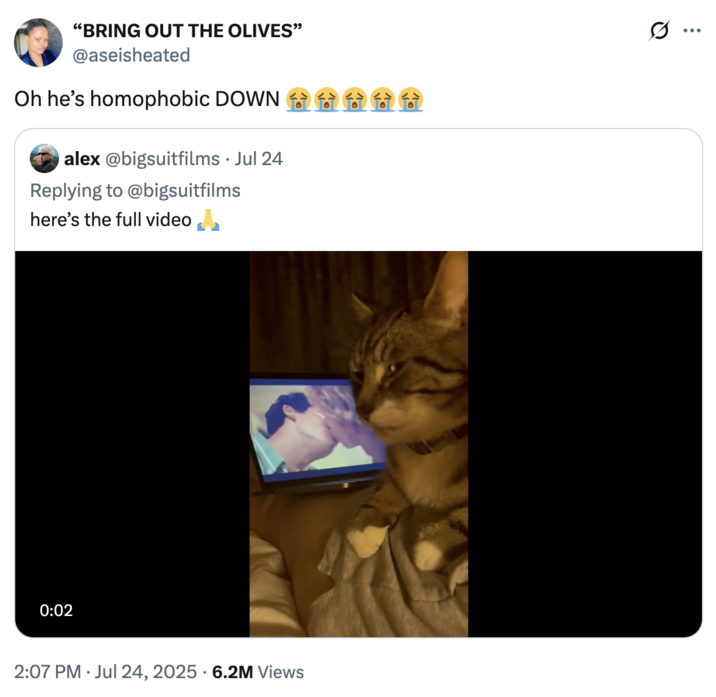 A "quote-tweet":https://knowyourmeme.com/memes/quote-retweets-qrts of the Homophic Cat "video":https://knowyourmeme.com/memes/viral-videos, showing a "cat":https://knowyourmeme.com/memes/subcultures/cats looking displeased and giving a "side-eye":https://knowyourmeme.com/memes/side-eye expression over the "gay":https://knowyourmeme.com/memes/cultures/lgbtq kissing scene in the 2024 film "_Challengers_":https://knowyourmeme.com/memes/subcultures/challengers-2024-film. The cat's nickname was based on the "Homophobic Dog":https://knowyourmeme.com/memes/homophobic-dog-not-too-fond-of-gay-people meme.