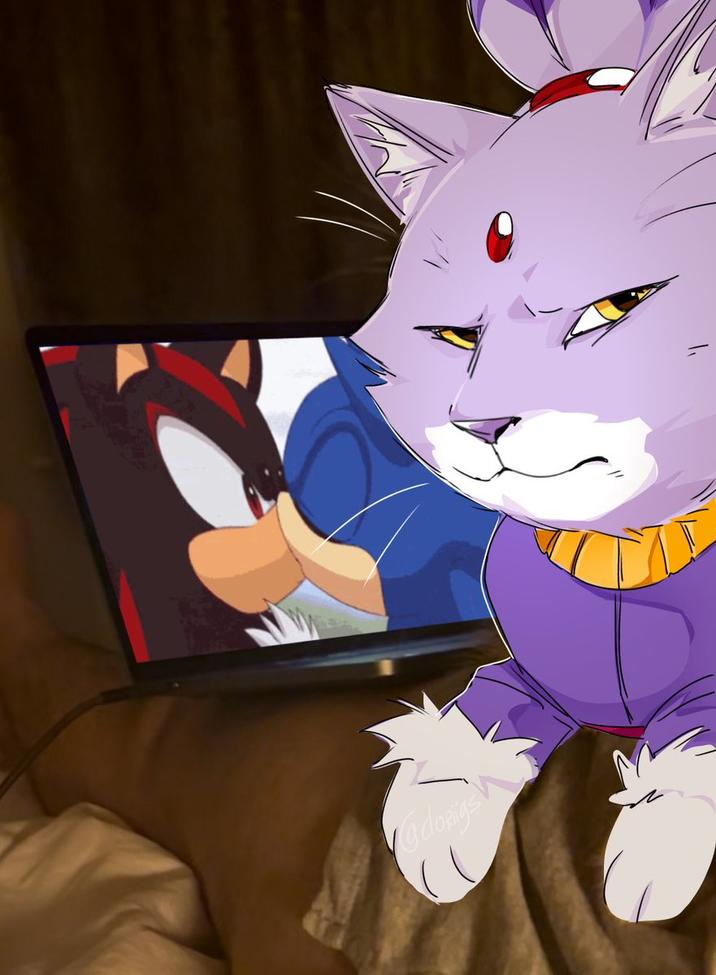 A "redraw":https://knowyourmeme.com/memes/redraw of the Homophobic Cat image, showing Blaze "side-eyeing":https://knowyourmeme.com/memes/side-eye "Sonic":https://knowyourmeme.com/memes/subcultures/sonic-the-hedgehog and "Shadow":https://knowyourmeme.com/memes/shadow-the-hedgehog kissing.
