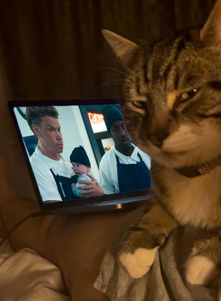 An "exploited":https://knowyourmeme.com/memes/exploitables version of the Homophobic Cat "meme":https://knowyourmeme.com/memes/memes, showing the cat "side-eyeing":https://knowyourmeme.com/memes/side-eye a scene in the TV show "_The Bear_":https://knowyourmeme.com/memes/subcultures/the-bear.