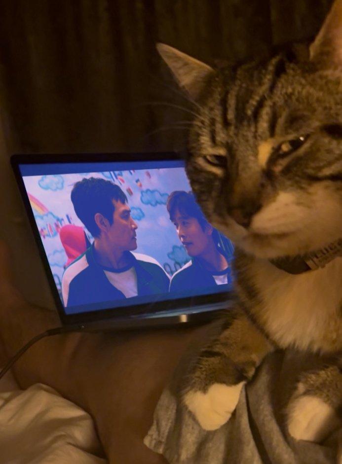 An "exploited":https://knowyourmeme.com/memes/exploitables version of the Homophobic Cat "meme":https://knowyourmeme.com/memes/memes, showing the cat "side-eyeing":https://knowyourmeme.com/memes/side-eye Gi-hun and Front Man from "_Squid Game_":https://knowyourmeme.com/memes/subcultures/squid-game.