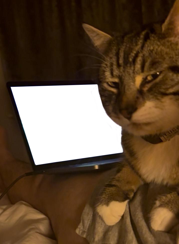 A PNG "meme":https://knowyourmeme.com/memes/memes template for "exploitable":https://knowyourmeme.com/memes/exploitables use, showing a "cat":https://knowyourmeme.com/memes/subcultures/cats giving a "side-eye":https://knowyourmeme.com/memes/side-eye in front of a laptop.