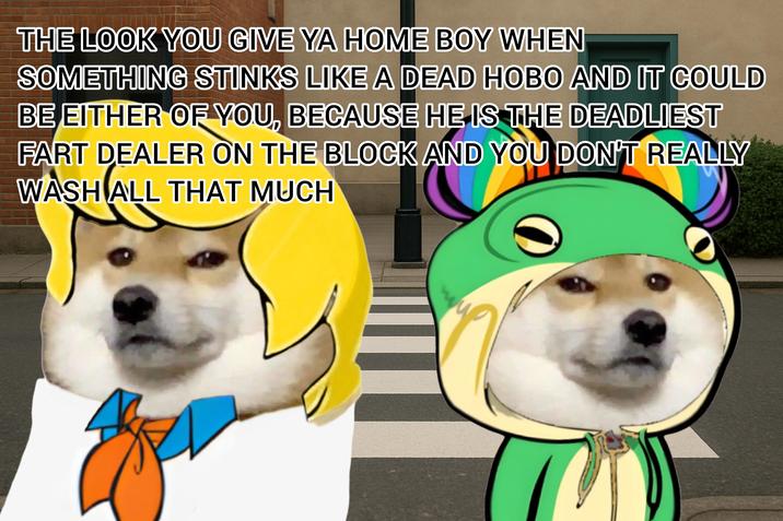 THE LOOK YOU GIVE YA HOME BOY WHEN SOMETHING STINKS LIKE A DEAD HOBO AND IT COULD BE EITHER OF YOU, BECAUSE HE IS THE DEADLIEST FART DEALER ON THE BLOCK AND YOU DON'T REALLY WASH ALL THAT MUCH