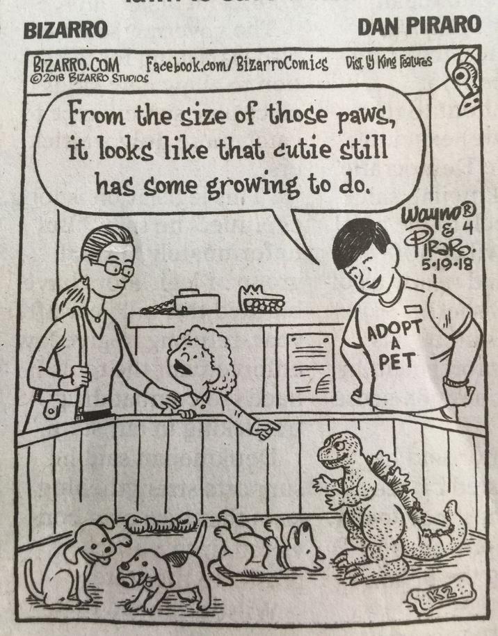 BIZARRO BIZARRO.COM 2018 BIZARRO STUDIOS DAN PIRARO Facebook.com/BizarroComics Dist. King features From the size of those paws, it looks like that cutie still has some growing to do. WaynoⓇ & 4 PiRaRO 5-19-18 ADOPT A PET K2