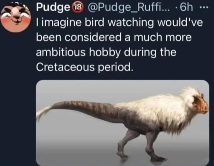 Pudge 18 @Pudge_Ruffi... 6h ... I imagine bird watching would've been considered a much more ambitious hobby during the Cretaceous period.