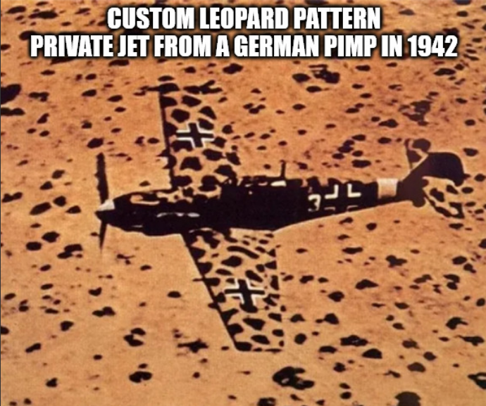 CUSTOM LEOPARD PATTERN PRIVATE JET FROM A GERMAN PIMP IN 1942