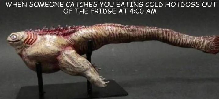 WHEN SOMEONE CATCHES YOU EATING COLD HOTDOGS OUT OF THE FRIDGE AT 4:00 AM