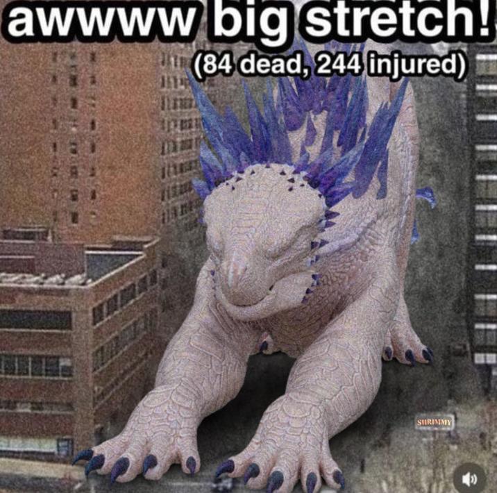 awwww big stretch! 白花 (84 dead, 244 injured) SHRIMMY