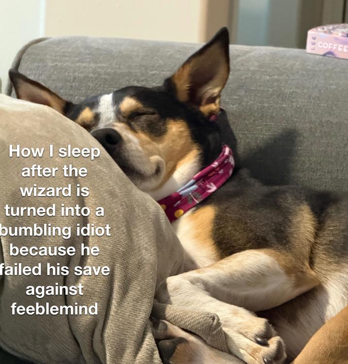 How I sleep after the wizard is turned into a bumbling idiot because he failed his save against feeblemind COFFEE