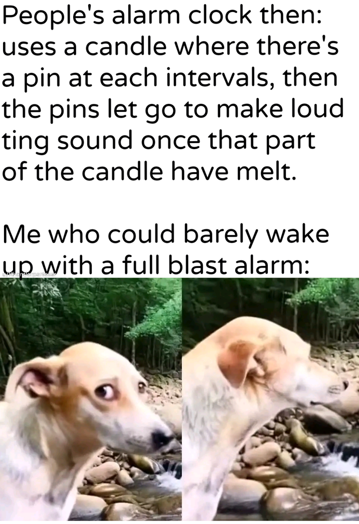 People's alarm clock then: uses a candle where there's a pin at each intervals, then the pins let go to make loud ting sound once that part of the candle have melt. Me who could barely wake up with a full blast alarm:
