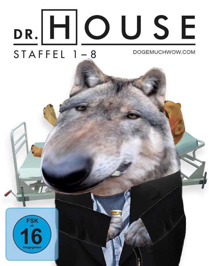 DR. HOUSE STAFFEL 1-8 FSK ab 16 freigegeben DOGEMUCHWOW.COM