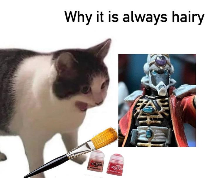 Why it is always hairy COLO CITADE COLOURE MEPHISTON HED