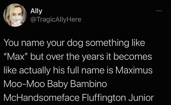 Ally @TragicAllyHere You name your dog something like "Max" but over the years it becomes like actually his full name is Maximus Moo-Moo Baby Bambino McHandsomeface Fluffington Junior