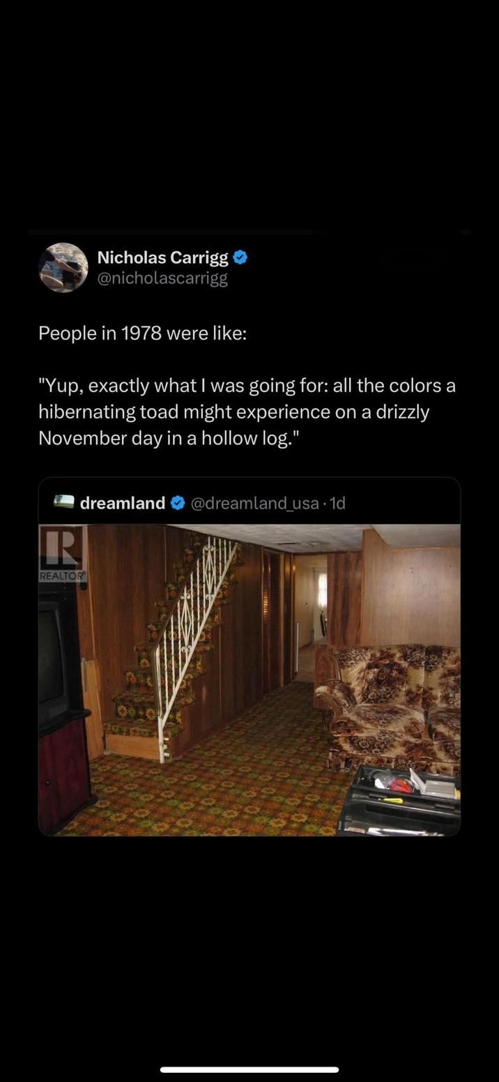 Nicholas Carrigg @nicholascarrigg People in 1978 were like: "Yup, exactly what I was going for: all the colors a hibernating toad might experience on a drizzly November day in a hollow log." R REALTOR dreamland @dreamland_usa 1d