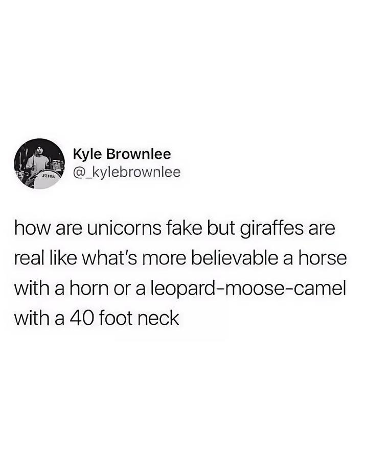 Kyle Brownlee @_kylebrownlee how are unicorns fake but giraffes are real like what's more believable a horse with a horn or a leopard-moose-camel with a 40 foot neck