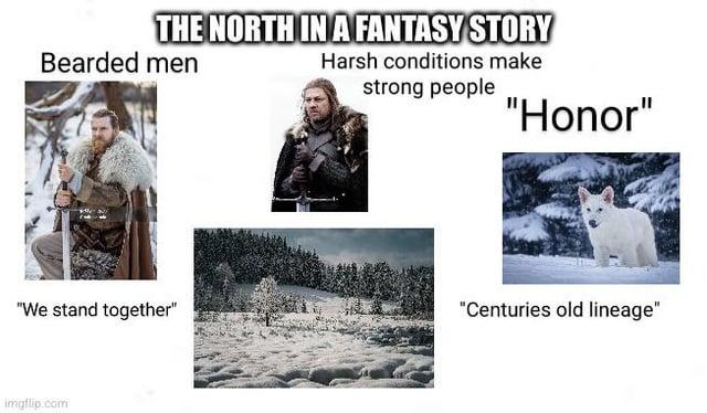 THE NORTH IN A FANTASY STORY Harsh conditions make Bearded men strong people "Honor" "We stand together" "Centuries old lineage" imgflip.com