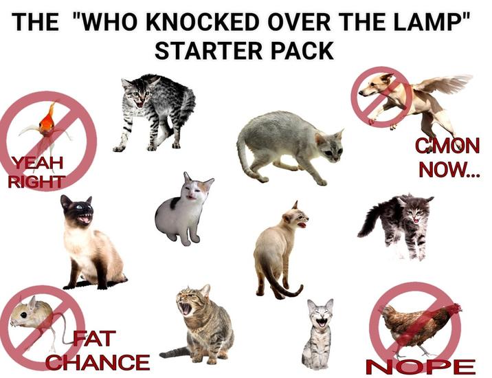 THE "WHO KNOCKED OVER THE LAMP" STARTER PACK YEAH RIGHT FAT CHANCE CMON NOW... NOPE