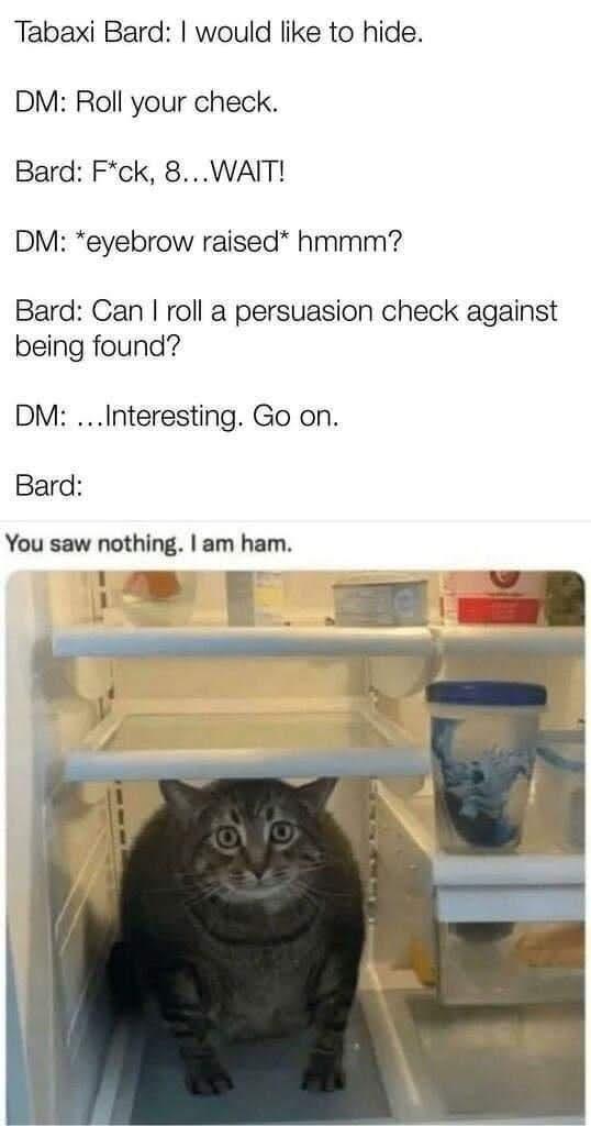 Tabaxi Bard: I would like to hide. DM: Roll your check. Bard: F*ck, 8...WAIT! DM: *eyebrow raised* hmmm? Bard: Can I roll a persuasion check against being found? DM:...Interesting. Go on. Bard: You saw nothing. I am ham.