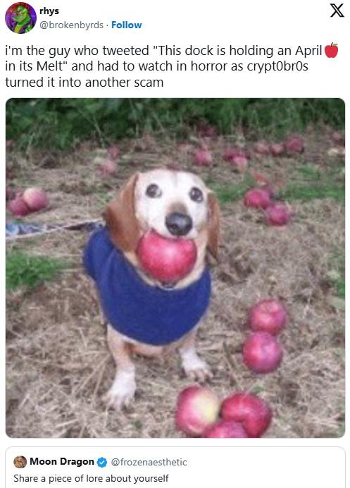 i'm the guy who tweeted "This dock is holding an April🍎 in its Melt" A tweet reading, "i'm the guy who tweeted "This dock is holding an April🍎 in its Melt" and had to watch in horror as crypt0br0s turned it into another scam."