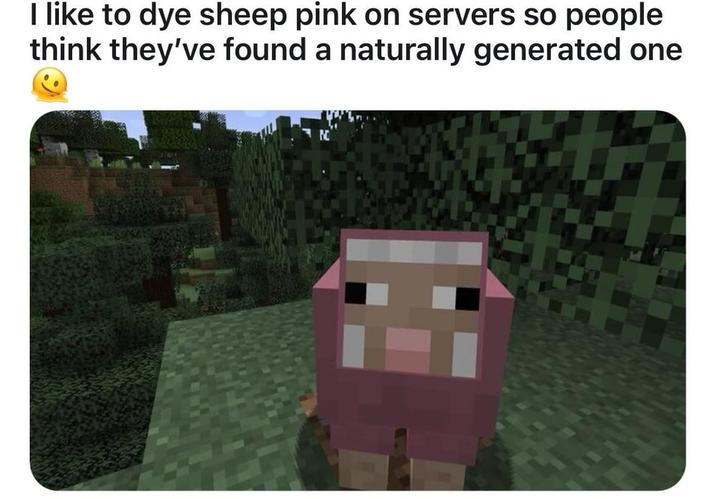 I like to dye sheep pink on servers so people think they've found a naturally generated one
