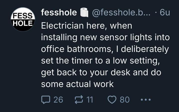 FESS fesshole • @fesshole.b... · 6u HOLE Electrician here, when installing new sensor lights into office bathrooms, I deliberately set the timer to a low setting, get back to your desk and do some actual work 口 26 11 80