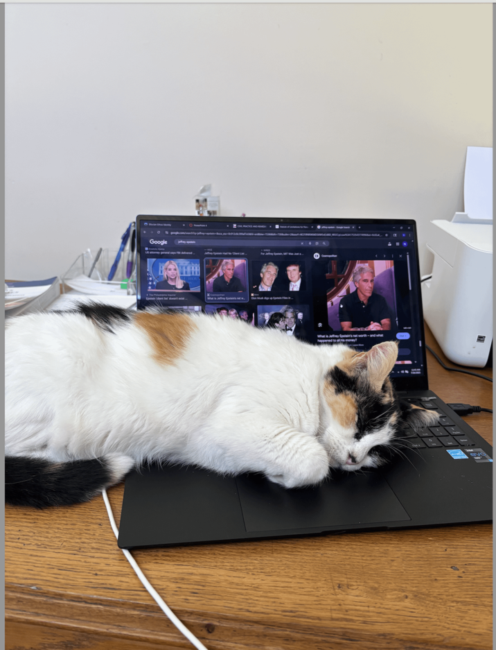 Google OVE PRACTICE AND REVEDI google.com/san-jay-apoteca-15-08-28-AUTOSWERD US attomey general says FBI delivered Jeffrey Epstein Had No Client List For Jeffrey Epstein, MT Was Just a Epstein client list What is Jeffrey Epsteins netw Elon Musk digs up Epstein Files in What is Jeffrey Epstein's net worth-and what happened to all his money?