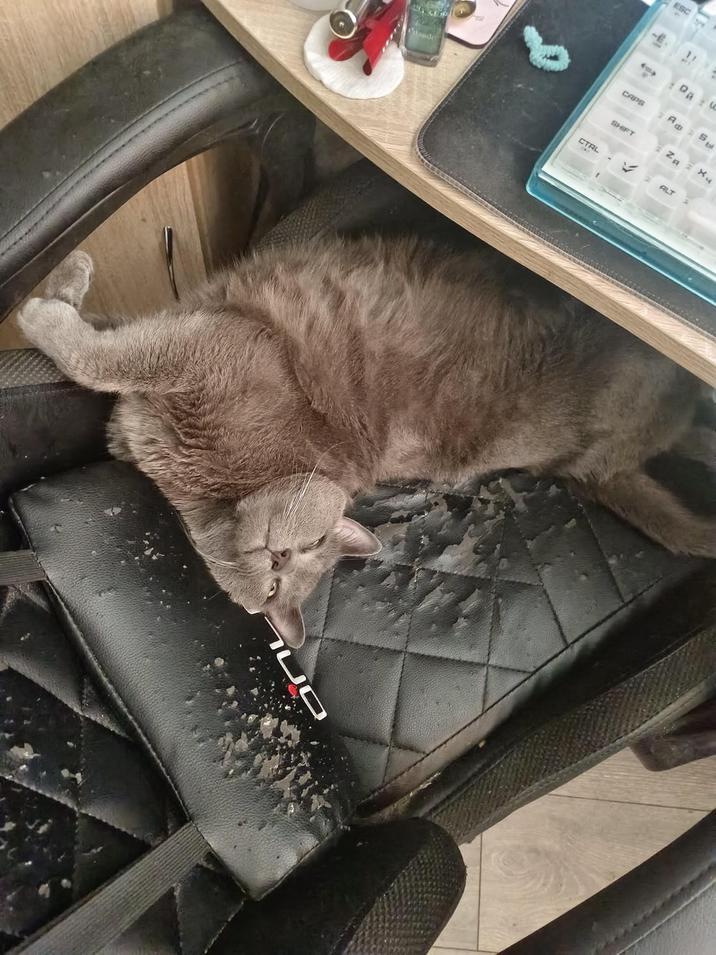 Claude ESC CAPS Ap S SHIFT ZA Хи CTRL ALT JO