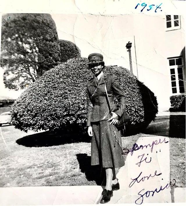 1954 Semper 我 Love Sonic