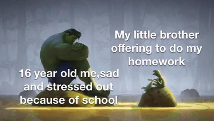 My little brother offering to do my homework 16 year old me,sad and stressed out because of school