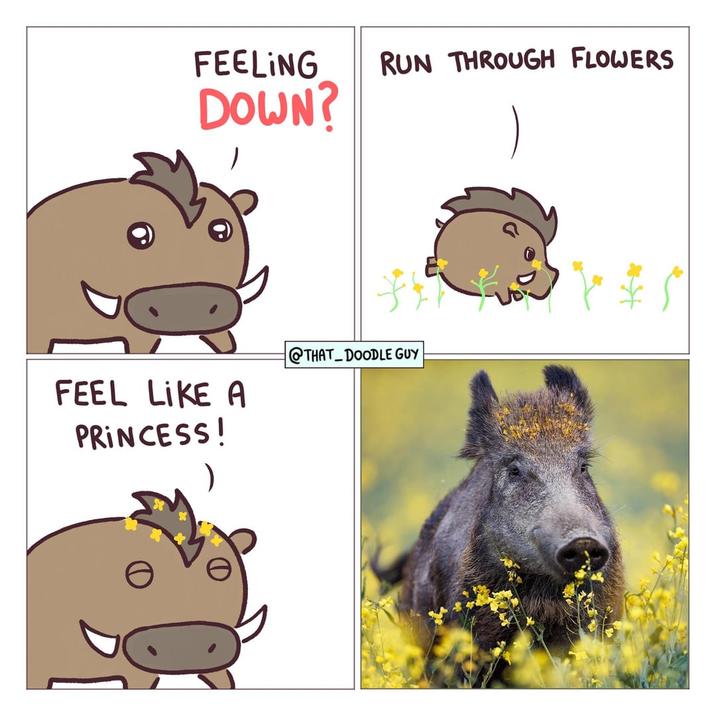 FEELING DOWN? RUN THROUGH FLOWERS FEEL LIKE A PRINCESS! THAT DOODLE GUY