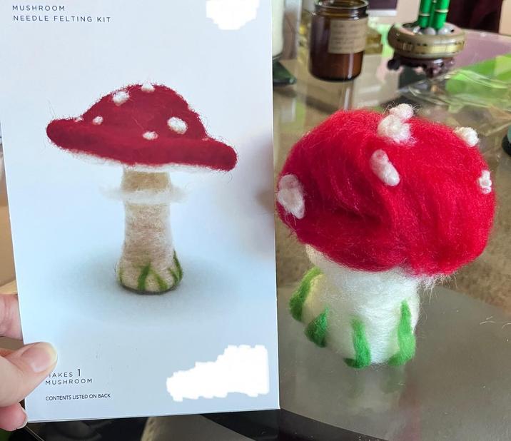 MUSHROOM NEEDLE FELTING KIT AKES 1 MUSHROOM CONTENTS LISTED ON BACK