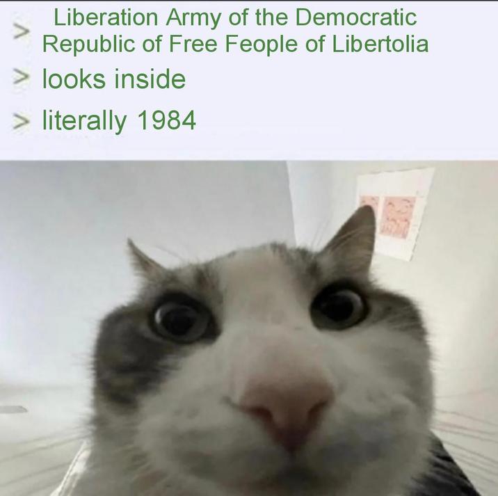 Liberation Army of the Democratic Republic of Free Feople of Libertolia > looks inside > literally 1984