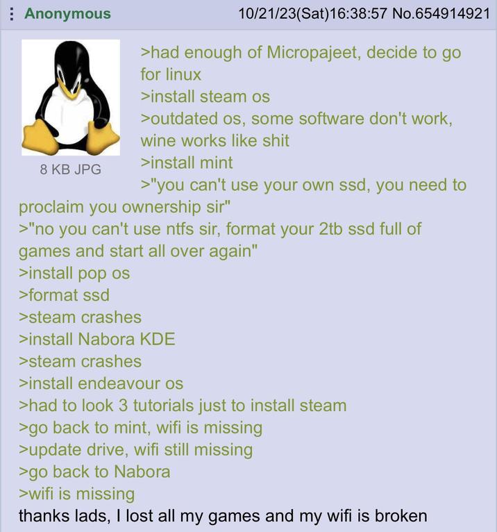 Anonymous 8 KB JPG 10/21/23(Sat) 16:38:57 No.654914921 >had enough of Micropajeet, decide to go for linux >install steam os >outdated os, some software don't work, wine works like s--- >install mint >"you can't use your own ssd, you need to proclaim you ownership sir" >"no you can't use ntfs sir, format your 2tb ssd full of games and start all over again" >install pop oS >format ssd >steam crashes >install Nabora KDE >steam crashes >install endeavour os >had to look 3 tutorials just to install steam >go back to mint, wifi is missing >update drive, wifi still missing >go back to Nabora >wifi is missing thanks lads, I lost all my games and my wifi is broken