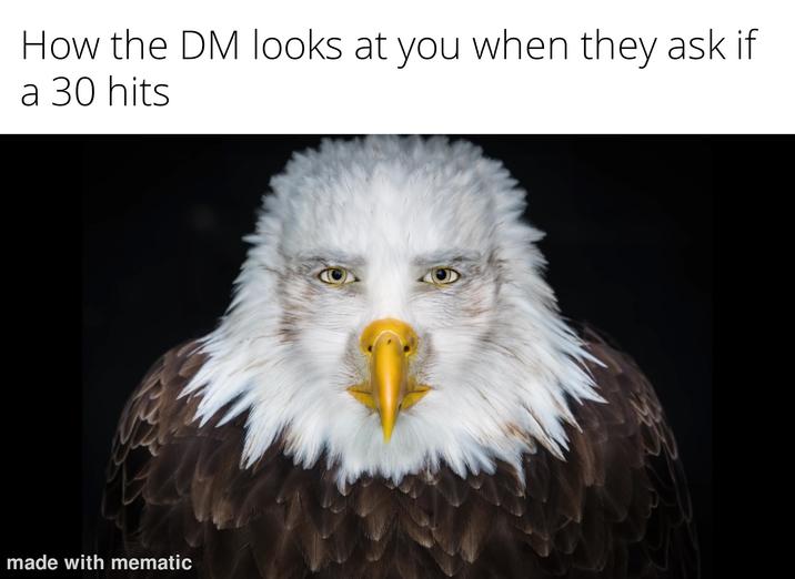 How the DM looks at you when they ask if a 30 hits made with mematic