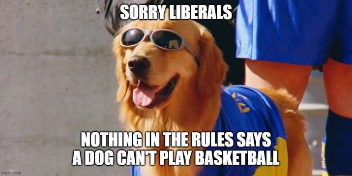 SORRY LIBERALS imgflip.com NOTHING IN THE RULES SAYS A DOG CAN'T PLAY BASKETBALL