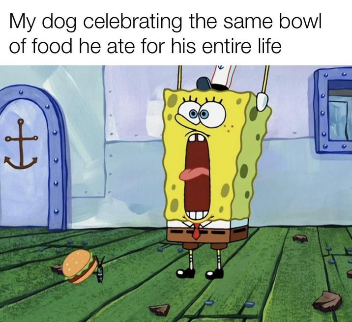 H My dog celebrating the same bowl of food he ate for his entire life