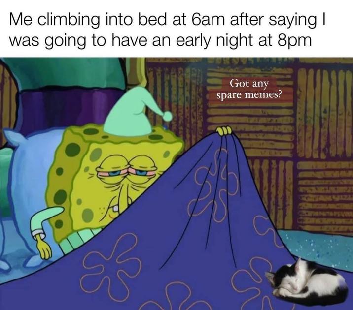 Me climbing into bed at 6am after saying I was going to have an early night at 8pm Got any spare memes?