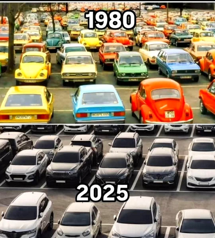 1980 WOB ATZ WOBVEXOS 2025 Za