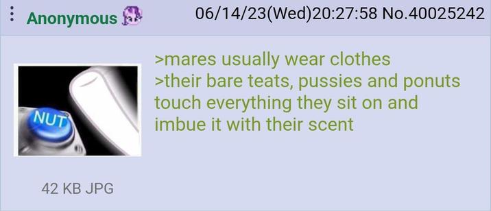 Anonymous NUT 06/14/23(Wed)20:27:58 No.40025242 >mares usually wear clothes >their bare teats, p------ and ponuts touch everything they sit on and imbue it with their scent 42 KB JPG