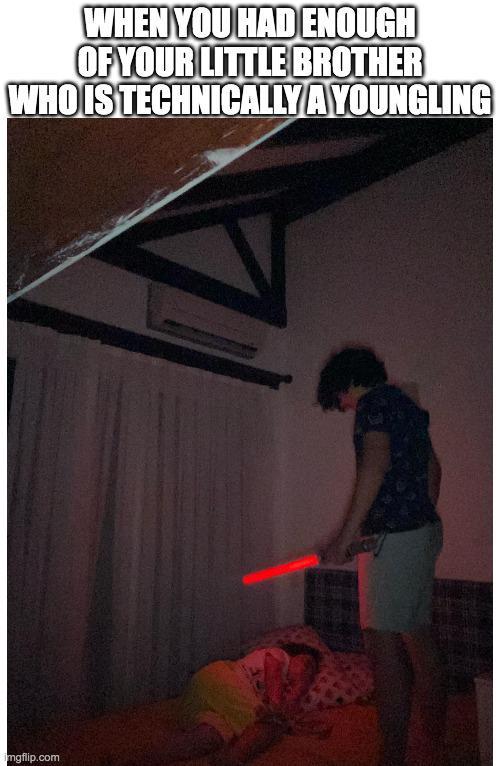 WHEN YOU HAD ENOUGH OF YOUR LITTLE BROTHER WHO IS TECHNICALLY A YOUNGLING imgflip.com