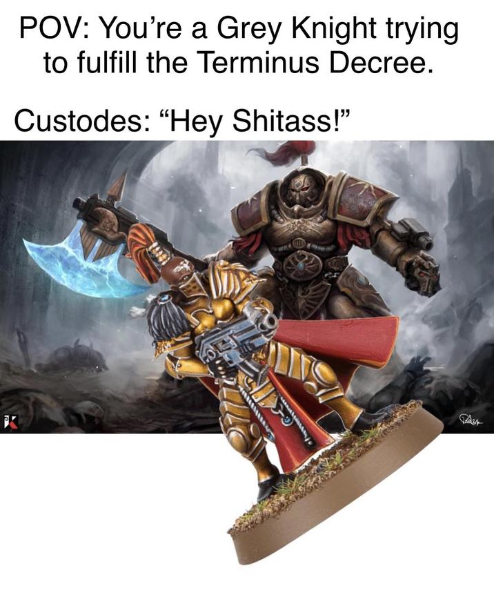 POV: You're a Grey Knight trying to fulfill the Terminus Decree. Custodes: "Hey S------!" K and Pälz4