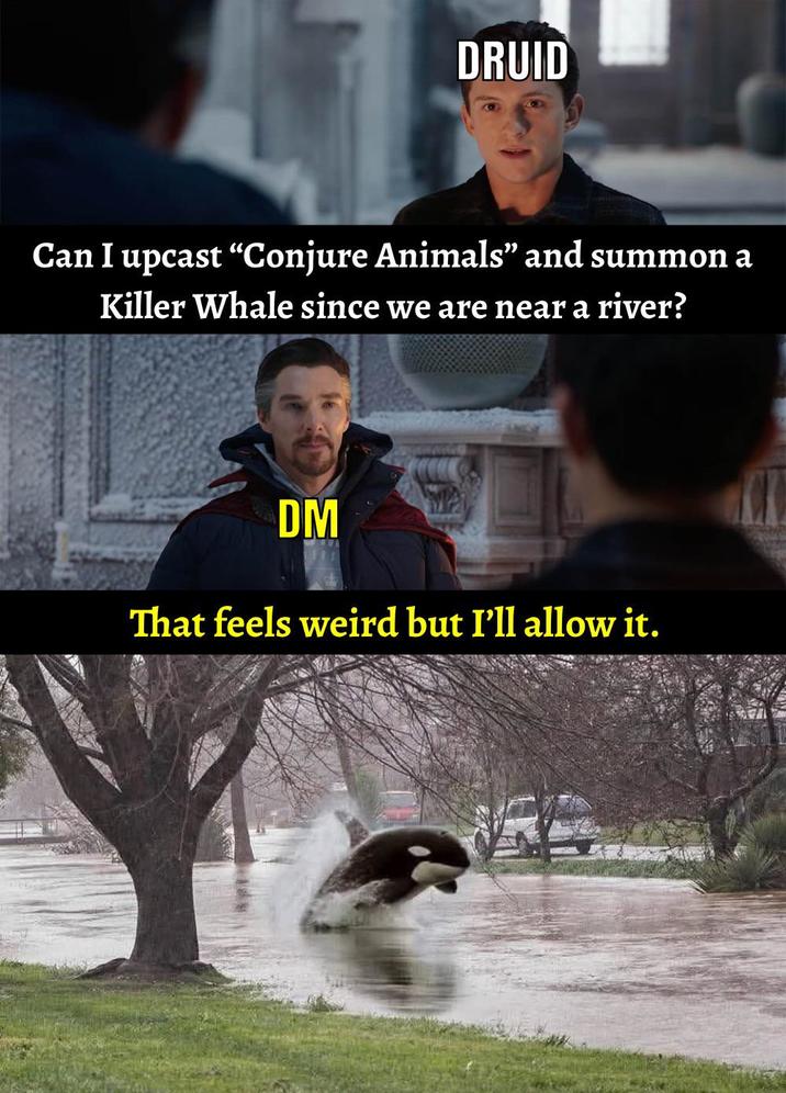 DRUID Can I upcast "Conjure Animals" and summon a Killer Whale since we are near a river? DM That feels weird but I'll allow it.