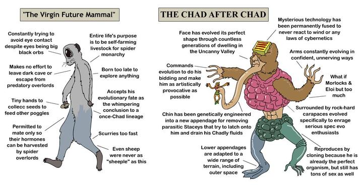 "The Virgin Future Mammal" Constantly trying to avoid eye contact despite eyes being big black orbs Makes no effort to leave dark cave or escape from predatory overlords Tiny hands to collecc seeds to feed other poggles Permitted to mate only so their hormones can be harvested by spider overlords Entire life's purpose is to be self-farming livestock for spider monarchy Born too late to explore anything Accepts his evolutionary fate as the whimpering conclusion to a once-Chad lineage Scurries too fast Even sheep were never as "sheeple" as this THE CHAD AFTER CHAD Face has evolved its perfect shape through countless generations of dwelling in the Uncanny Valley Commands evolution to do his bidding and make him as artistically provocative as possible Chin has been genetically engineered into a new appendage for removing parasitic Staceys that try to latch onto him and drain his Chadly fluids Lower appendages are adapted to a wide range of terrain, including outer space Mysterious technology has been permanently fused to never react to wind or any laws of cybernetics Arms constantly evolving in confident, unnerving ways What if Morlocks & Eloi but too much Surrounded by rock-hard carapaces evolved specifically to enrage serious spec evo enthusiasts Reproduces by cloning because he is already the perfect organism, but still has tons of sex as well
