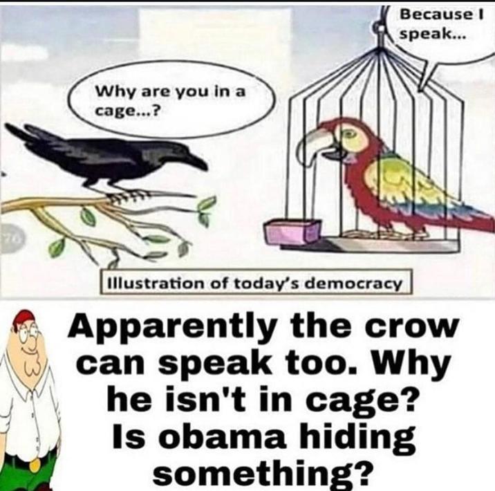 Why are you in a cage...? Because I speak... 76 Illustration of today's democracy Apparently the crow can speak too. Why he isn't in cage? Is obama hiding something?
