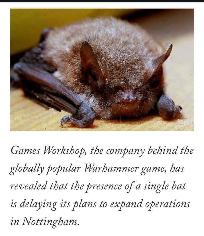 Games Workshop, the company behind the globally popular Warhammer game, has revealed that the presence of a single bat is delaying its plans to expand operations in Nottingham.