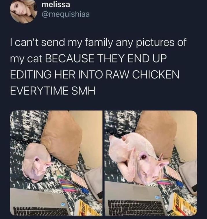 LIBERTY melissa @mequishiaa I can't send my family any pictures of my cat BECAUSE THEY END UP EDITING HER INTO RAW CHICKEN EVERYTIME SMH