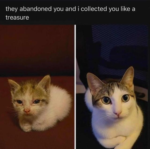 they abandoned you and i collected you like a treasure