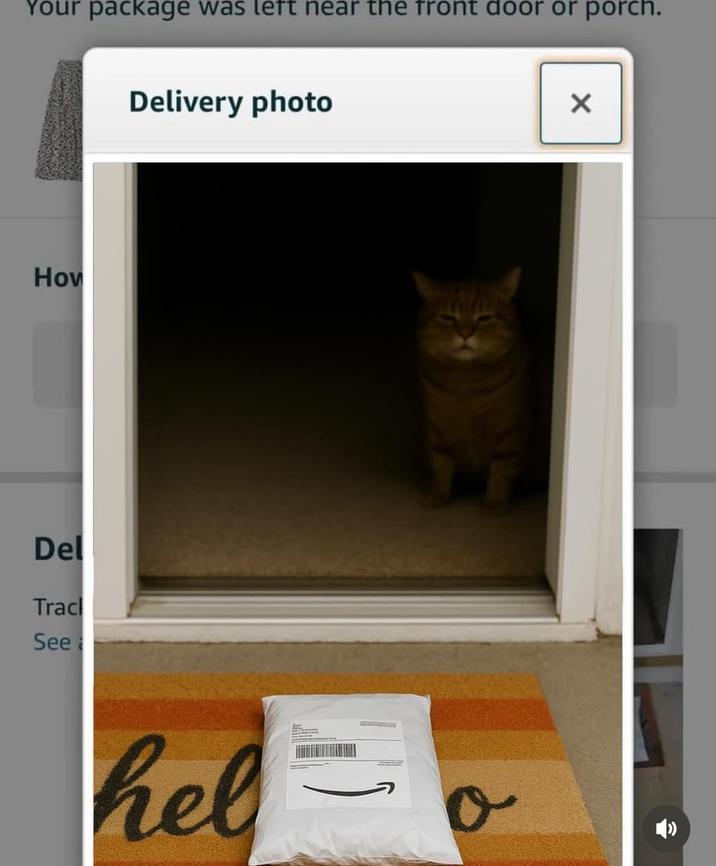 Your package was left near the front door or porch. How Del Tracl See Delivery photo hel 0 ×